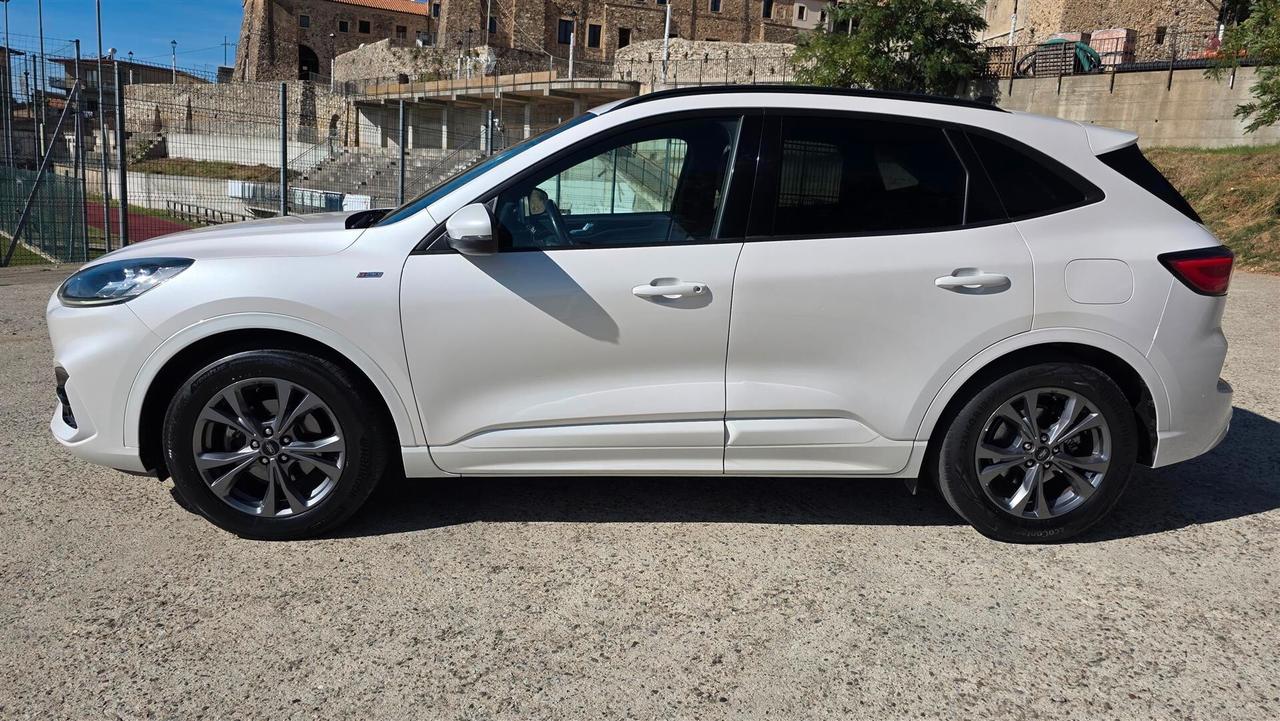 Ford Kuga 1.5 EcoBlue 120 CV aut. 2WD ST-Line X