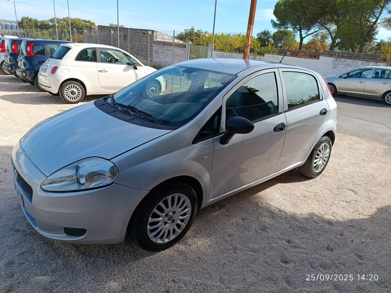 Fiat Punto Evo 1.3 Mjt 75 CV DPF 5 porte S&S Active