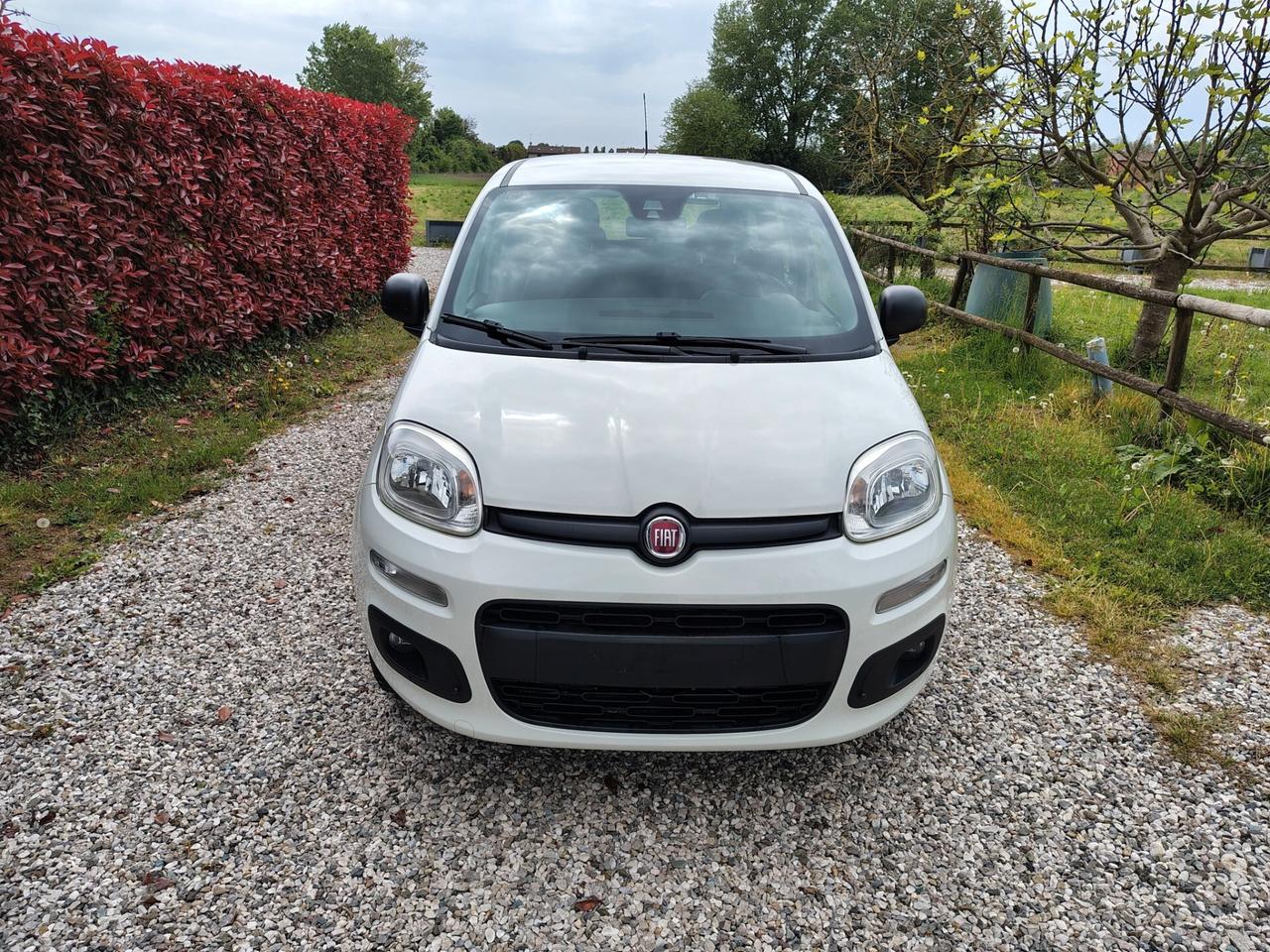 Fiat Panda Metano*Easy*Nazionale*Km certificati*Fatturabile