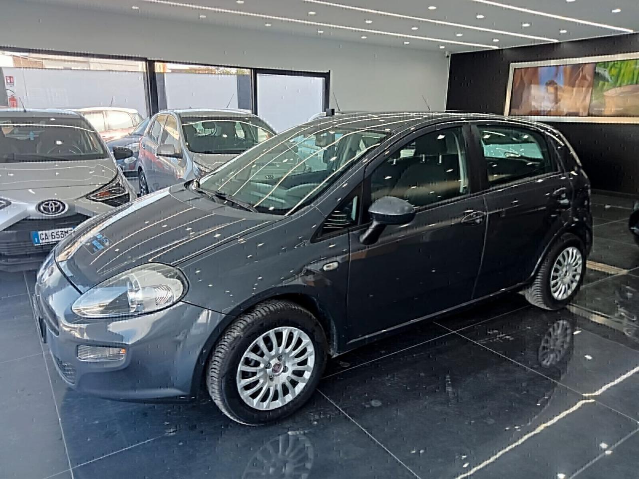 Fiat Punto 1.2 8V 5 porte 1 PROPRIETARIO