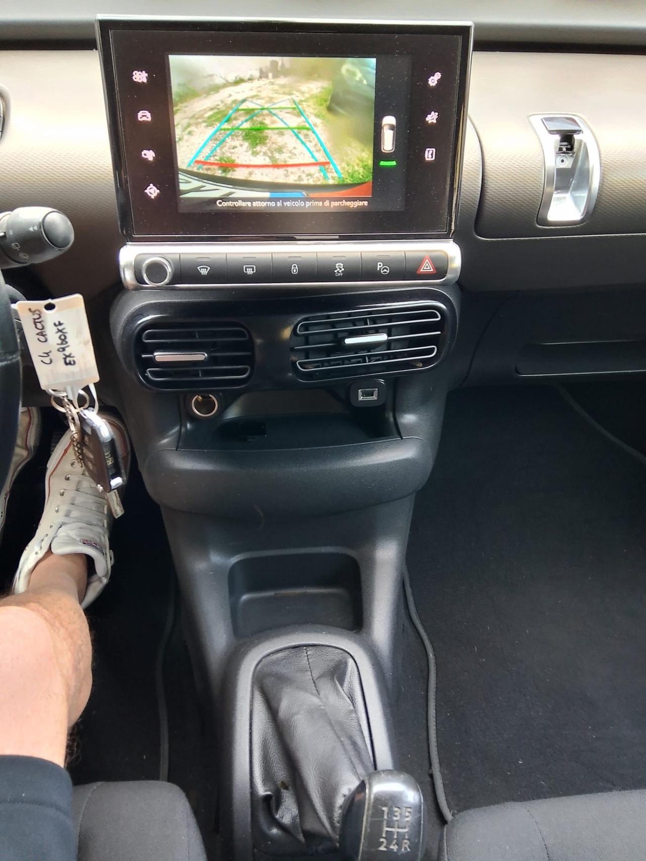 Citroen C4 Cactus BlueHDi 100 anno 2015