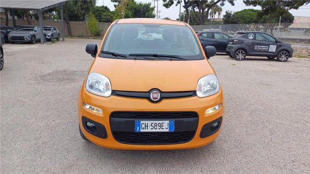 FIAT Panda 3ª serie 1.0 FireFly S&S Hybrid