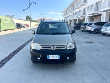 Fiat Panda 1.2 Climbing Natural Power