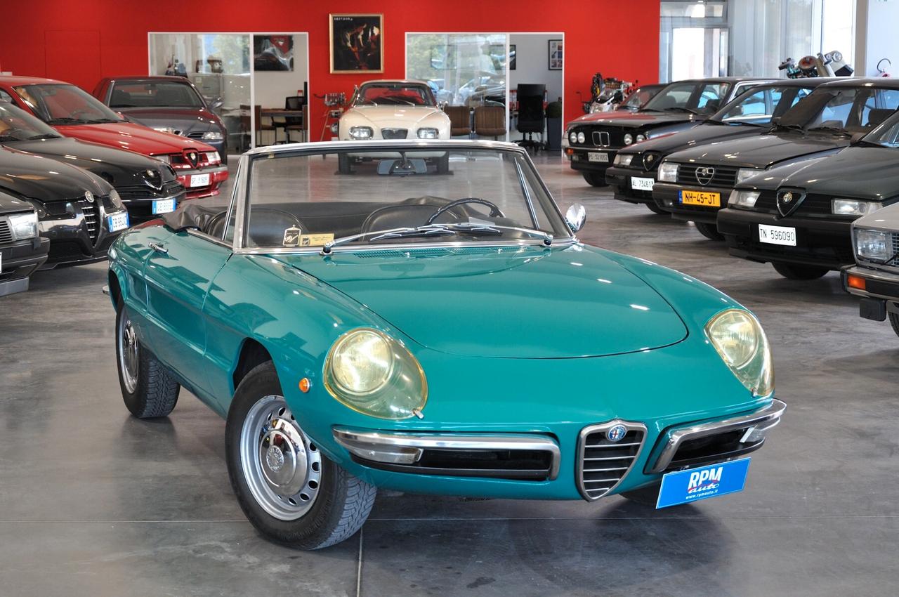 Alfa Romeo Spider 1300 Junior Duetto osso di seppia RIAR conservata