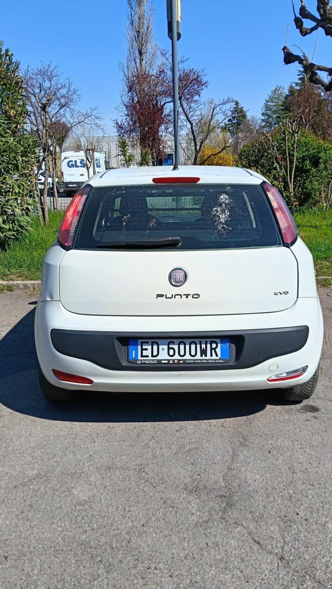 Fiat Punto Evo 1.3 Mjt 75 CV 5 porte Active