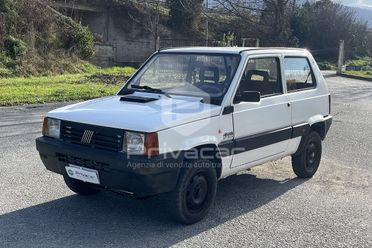 FIAT Panda 1ª serie 1100 i.e. cat 4x4