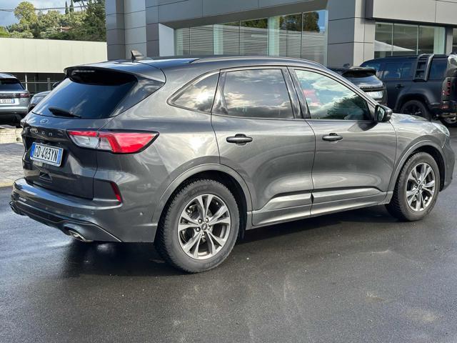 FORD Kuga 1.5 EcoBlue 120 CV 2WD ST-Line