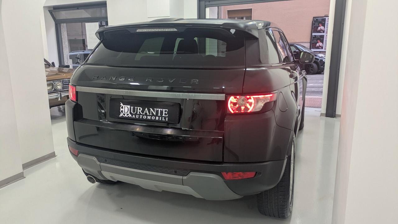 Rover Range Evoque 2.2 TD4 150cv 5p. Aut.