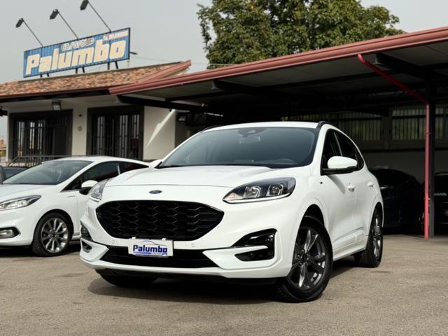 FORD Kuga 1.5 EcoBlue 120 CV aut. 2WD ST-Line