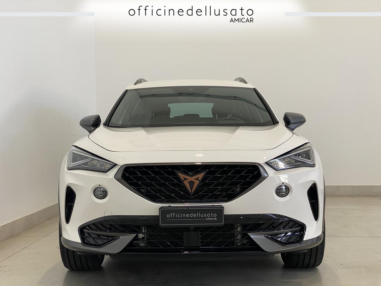Cupra Formentor 2.0 tdi 150cv