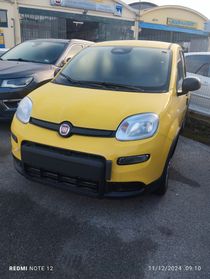 Fiat Panda 1.0 FireFly S&S Hybrid PRONTA CONSEGNA PANDINA