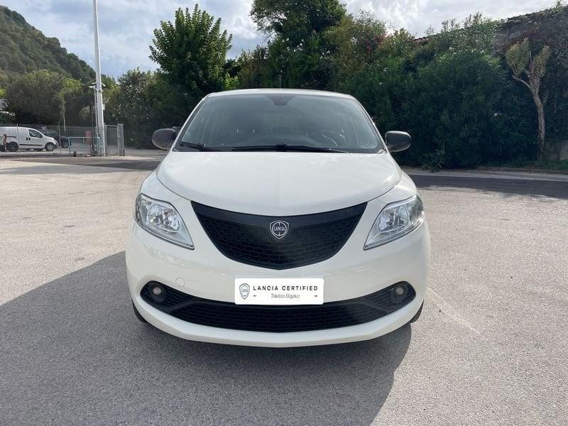 Lancia Ypsilon 1.2 69cv Elefantino Blu