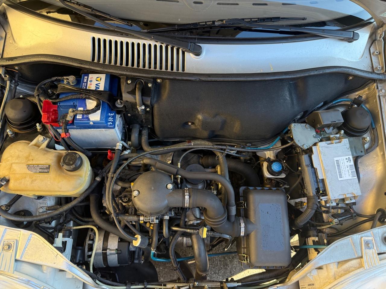 Fiat Seicento 900i cat Young