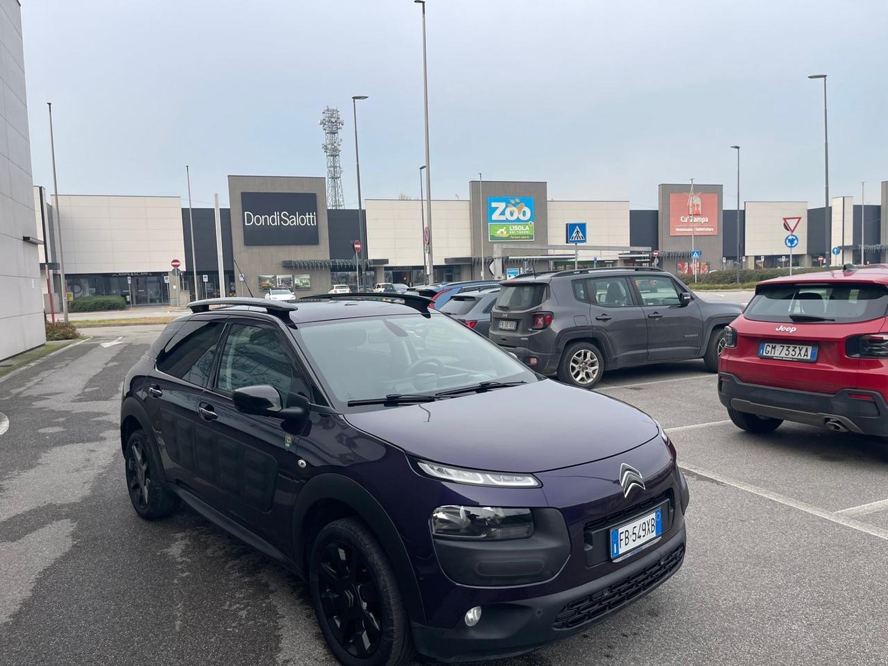 Citroen C4 Cactus BlueHDi 100 Shine