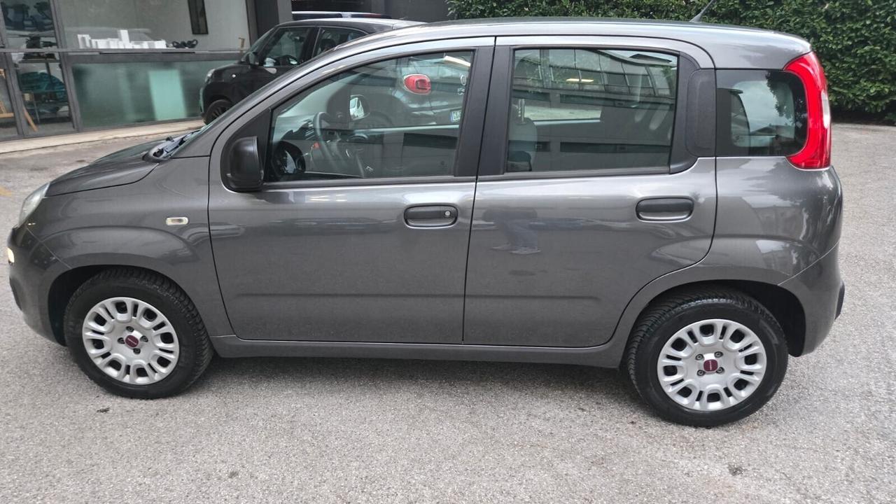 Fiat Panda 1.3 MJT 95 CV S&S Pandazzurri