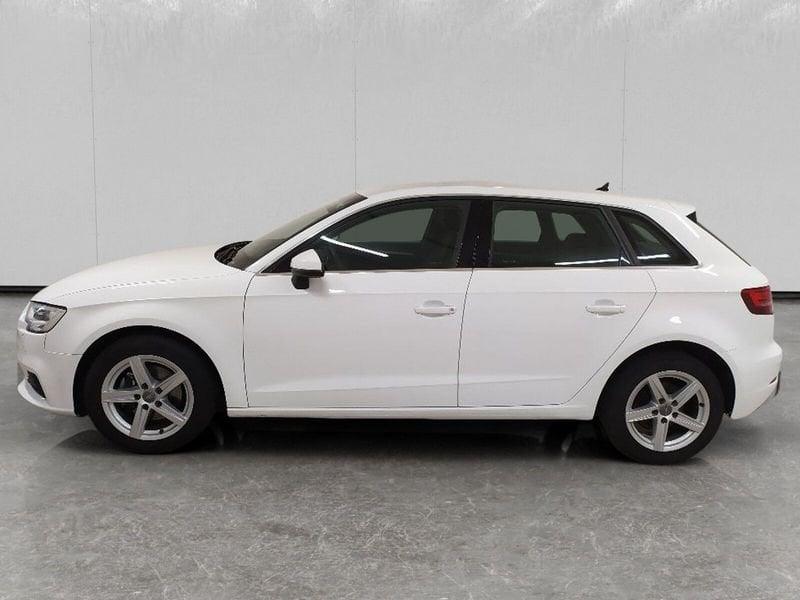 Audi A3 Sportback 30 1.6 tdi Business 116cv