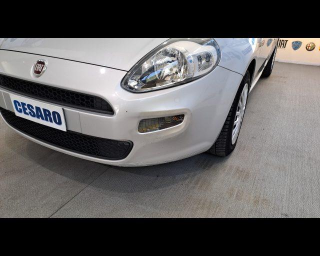 FIAT Punto 5p 1.3 mjt Street s&s 95cv