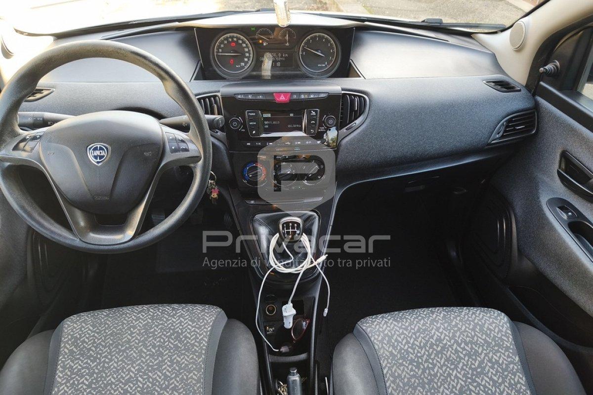 LANCIA Ypsilon 1.2 69 CV 5 porte Elefantino