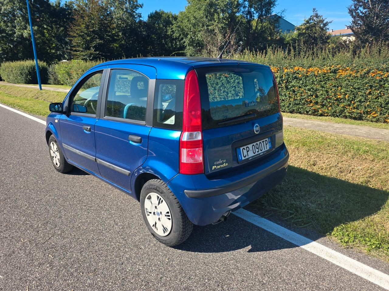 FIAT PANDA 1.2 DYNAMIC "OK PER NEOPATENTATI"