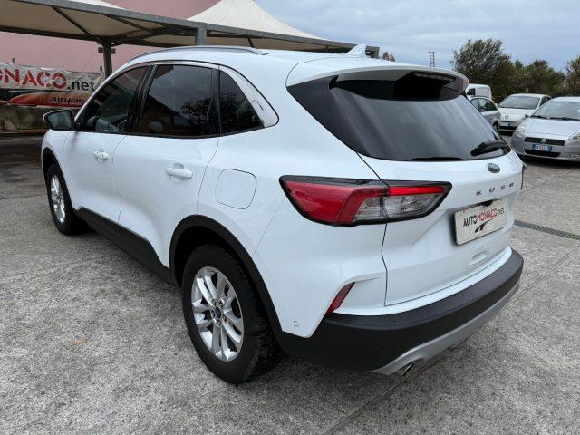 FORD Kuga 1.5 EcoBlue 120CV aut. 2WD Titanium Business