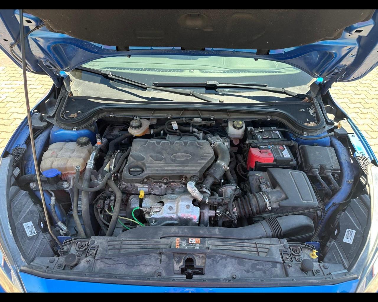 FORD Focus 1.5 ecoblue ST-Line s&s 120cv