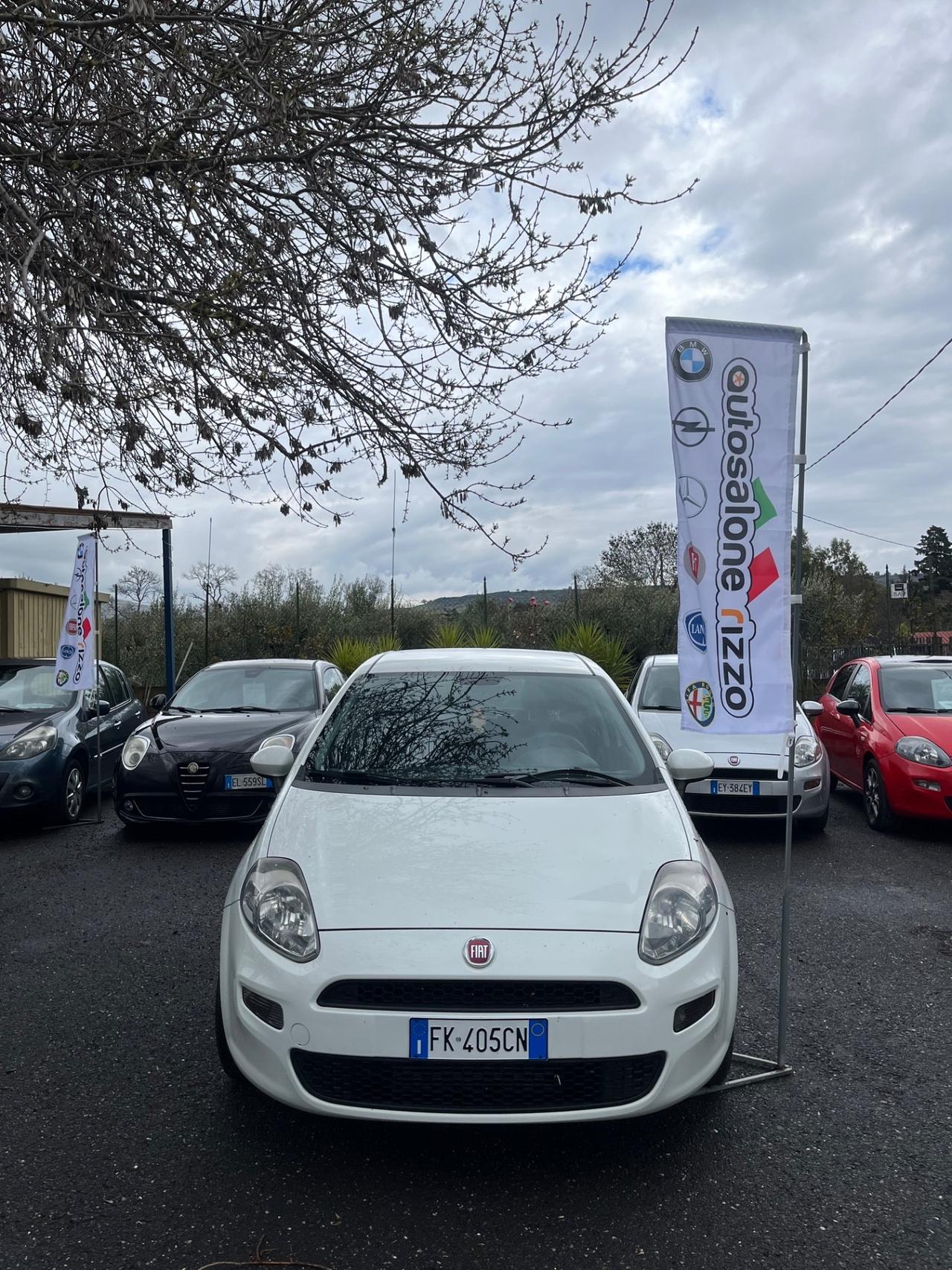 Fiat Punto 1.3 MJT 95CV S&S 5 porte Van Easy 4 posti