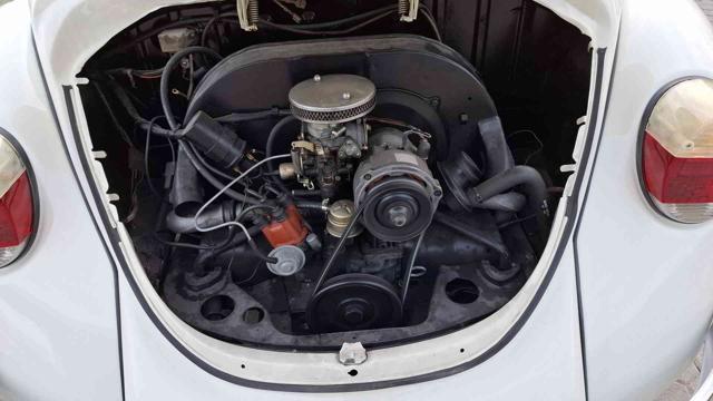 VOLKSWAGEN Maggiolino ROADSTER, CABRIOLET