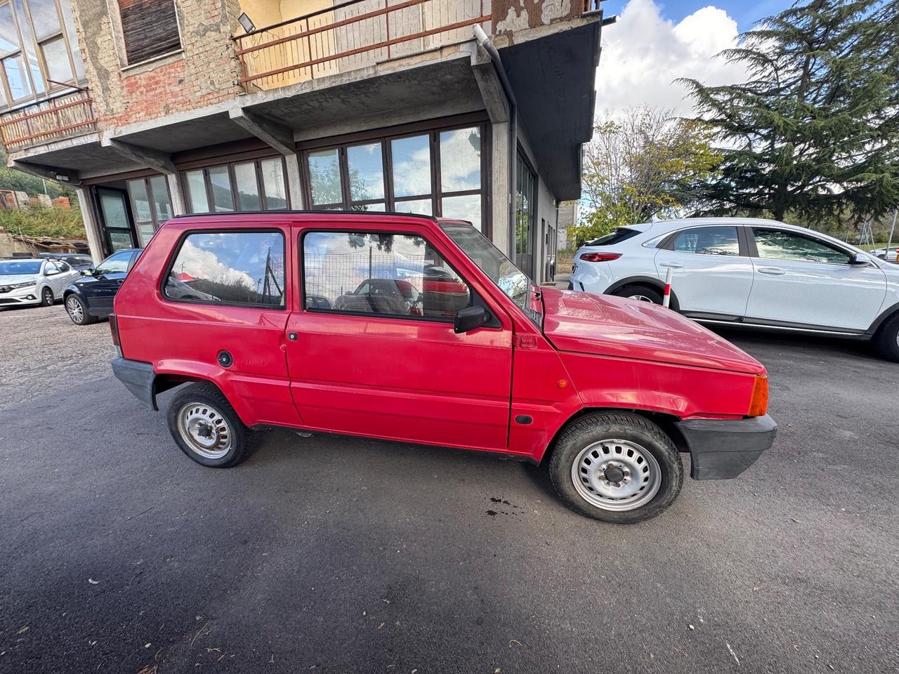 Fiat Panda 900 i.e. cat Young