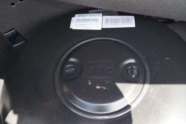 FORD EcoSport 1.0 EcoBoost 125 CV Active GPL sedili in pelle
