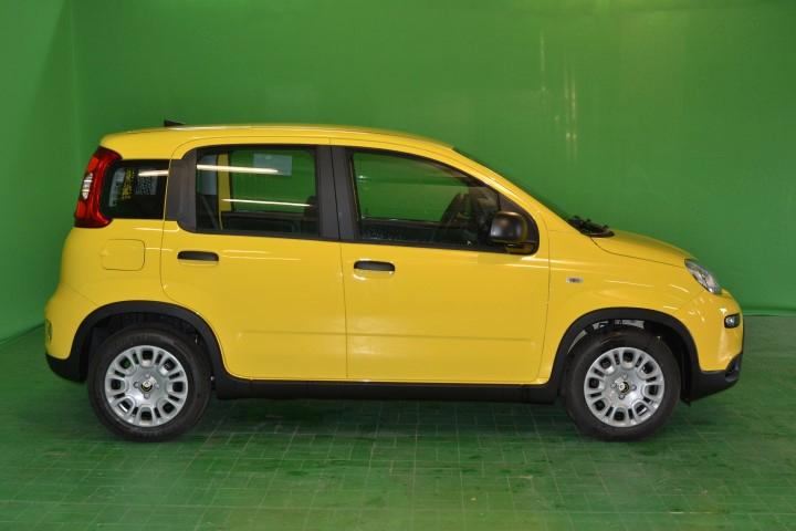 FIAT PANDA - 1.0 70CV HYBRID