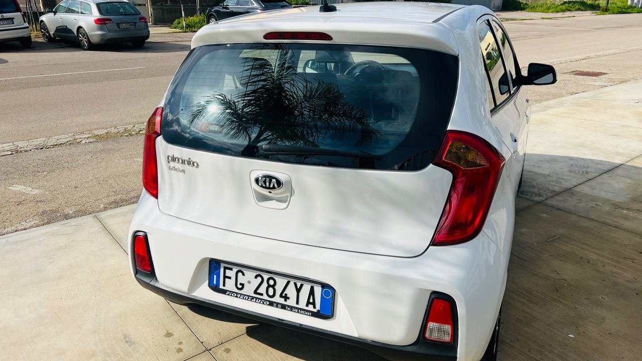 Kia Picanto 1.0 12V 5 porte Glam Collection