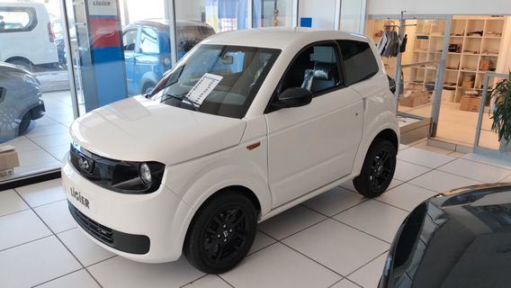 GANCIO CHIUSURA PORTA LIGIER-MICROCAR