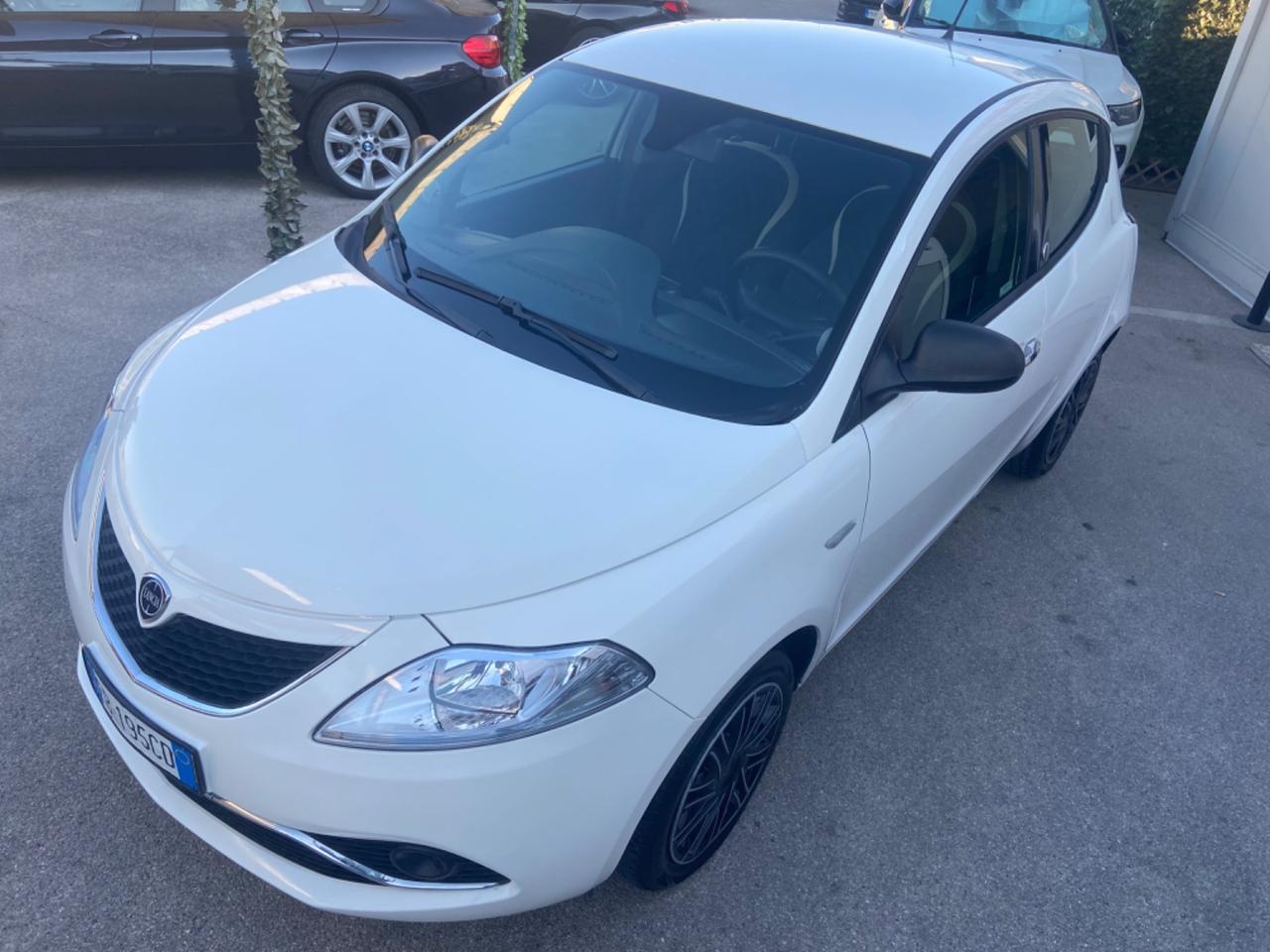Lancia Ypsilon 1.2 69CV GPL/BENZ 2016 GARANZIA12