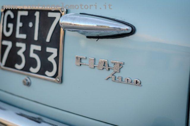 FIAT 1100 Special 103 G