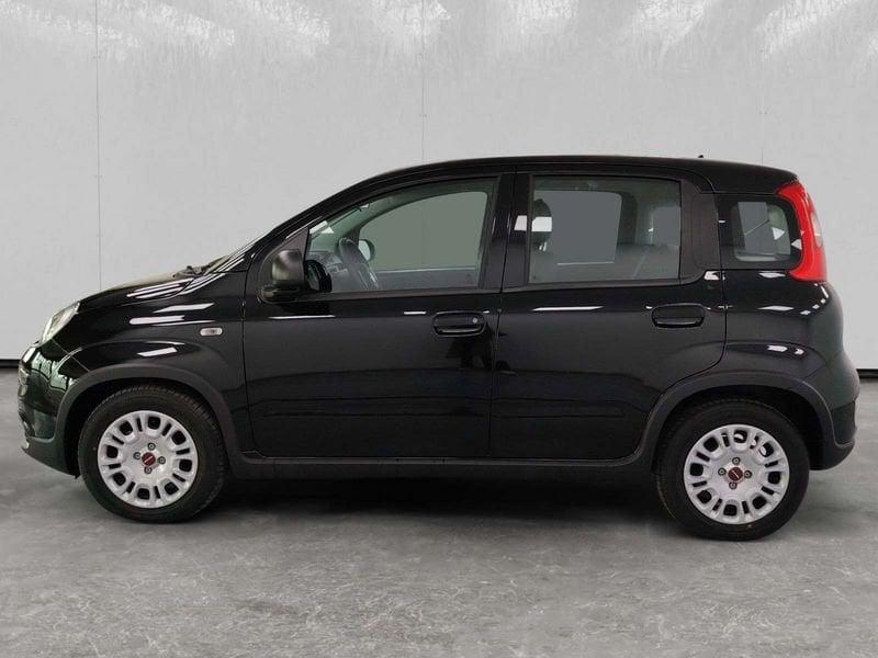FIAT Panda 1.0 firefly hybrid s&s 70cv