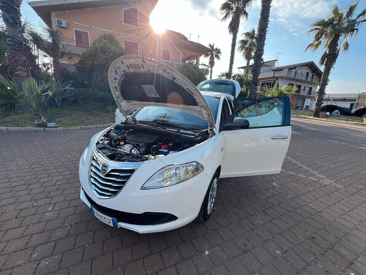 Lancia Ypsilon 1.3 MJT 16V 95 CV 5 porte S&S Gold