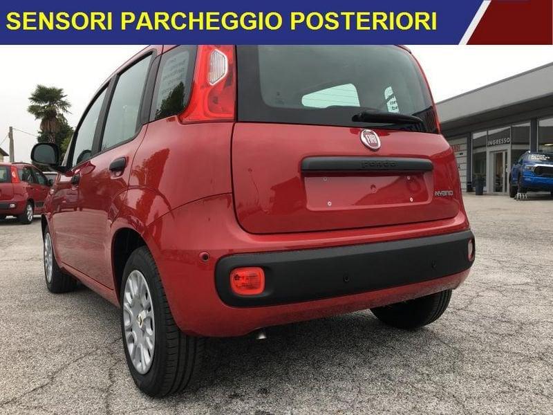 FIAT Panda 1.0 FireFly Hybrid Icon PROMOZIONE MESE IN CORSO
