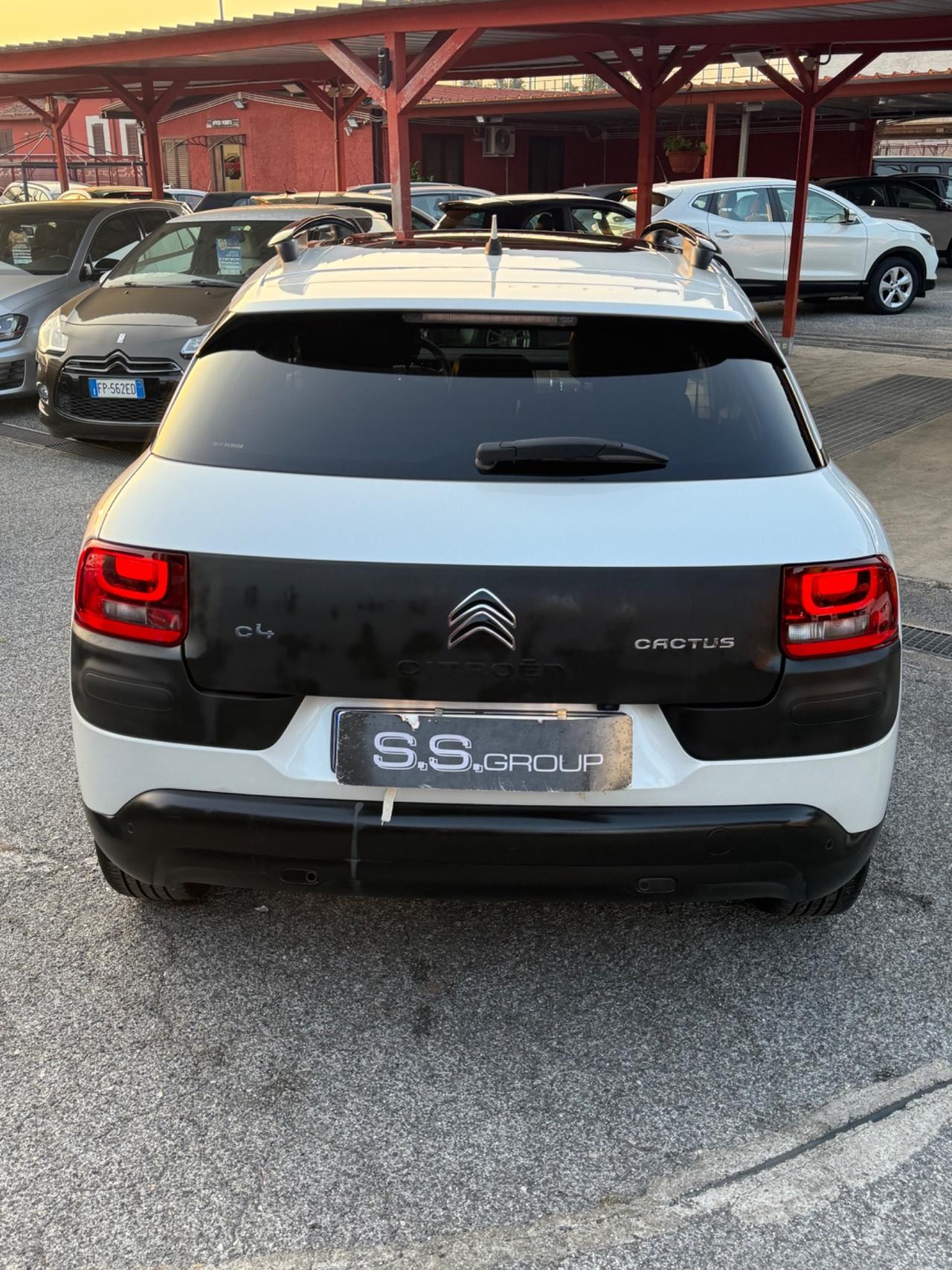 C4 Cactus hdi 100-ETG6 Shine-unipro-perfetta
