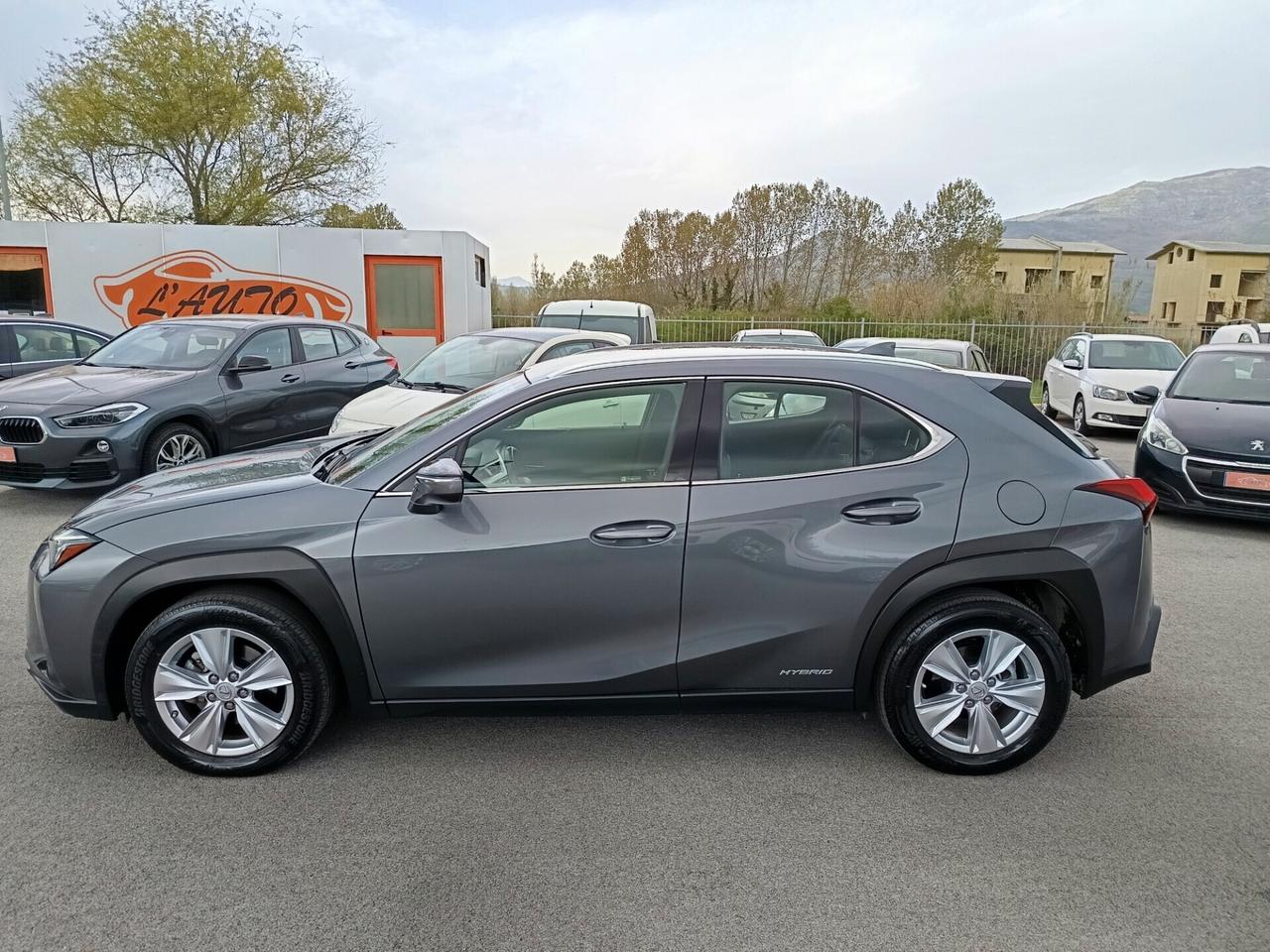 Lexus UX 250h 2.0 Business 2WD CVT MY20