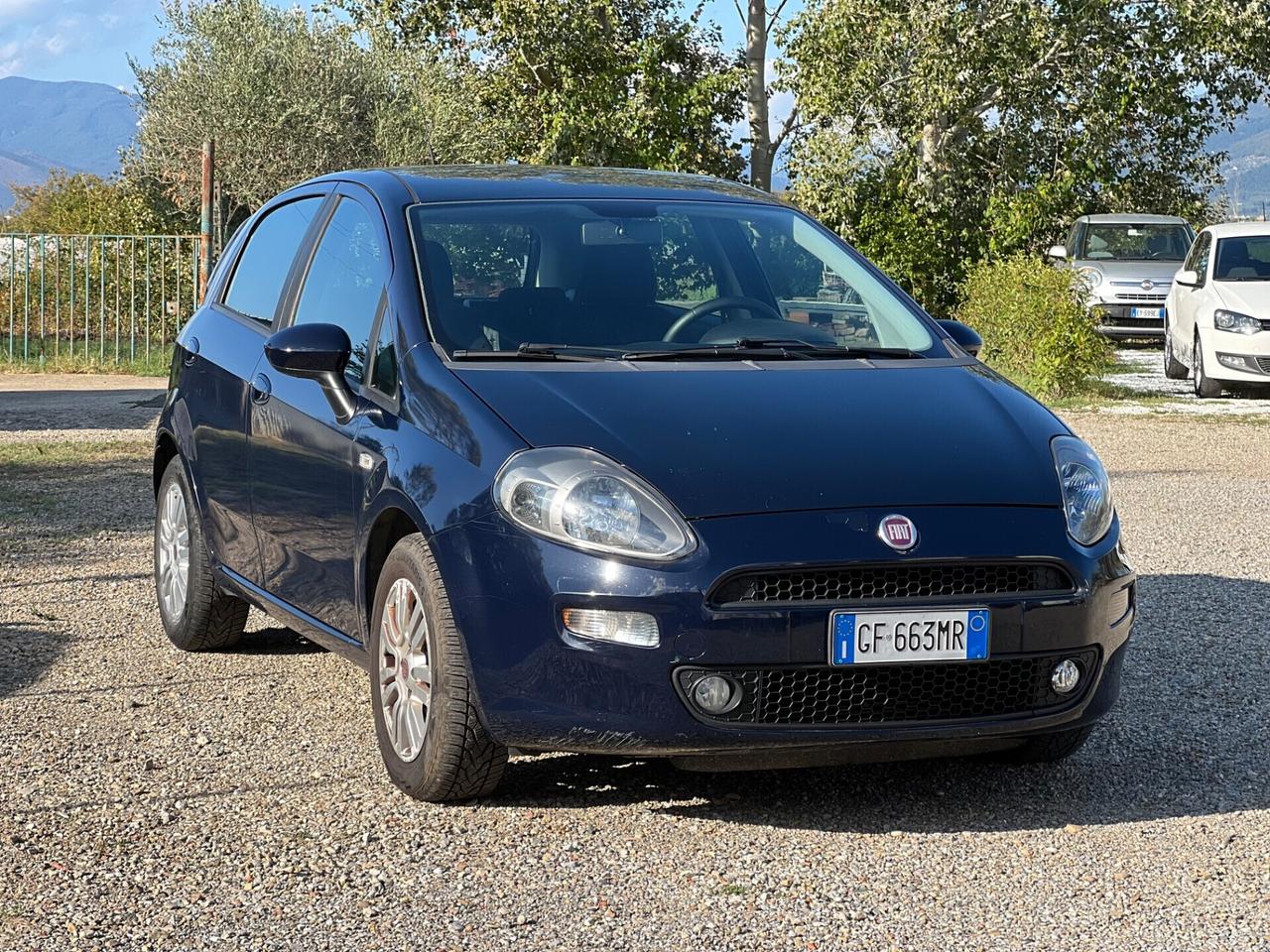 Punto 1.3 MJT || 75 CV 5 porte Lounge