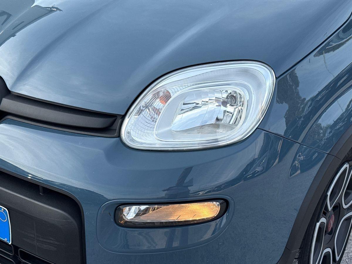 FIAT Panda III 2021 - Panda 1.0 firefly hybrid s&s 70cv