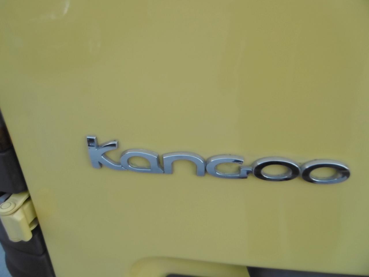 Renault Kangoo 1.5 dCi 110cv Express Ice