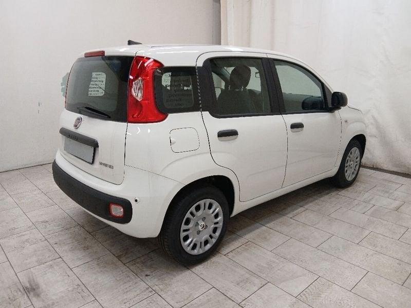 FIAT Pandina 1.0 firefly hybrid Icon s&s 70cv 5p.ti
