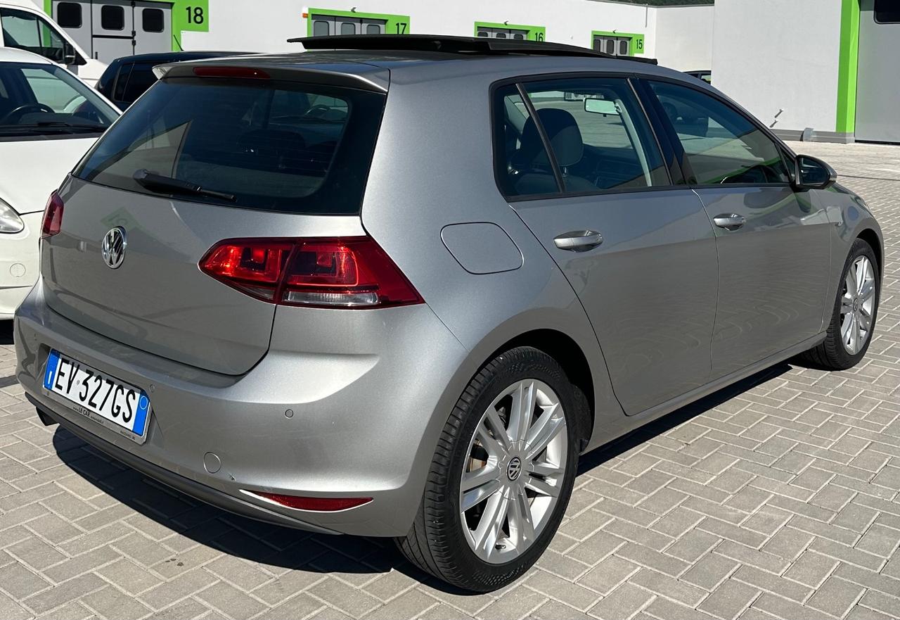 Volkswagen Golf 1.6 TDI Highline CON TETTUCCIO