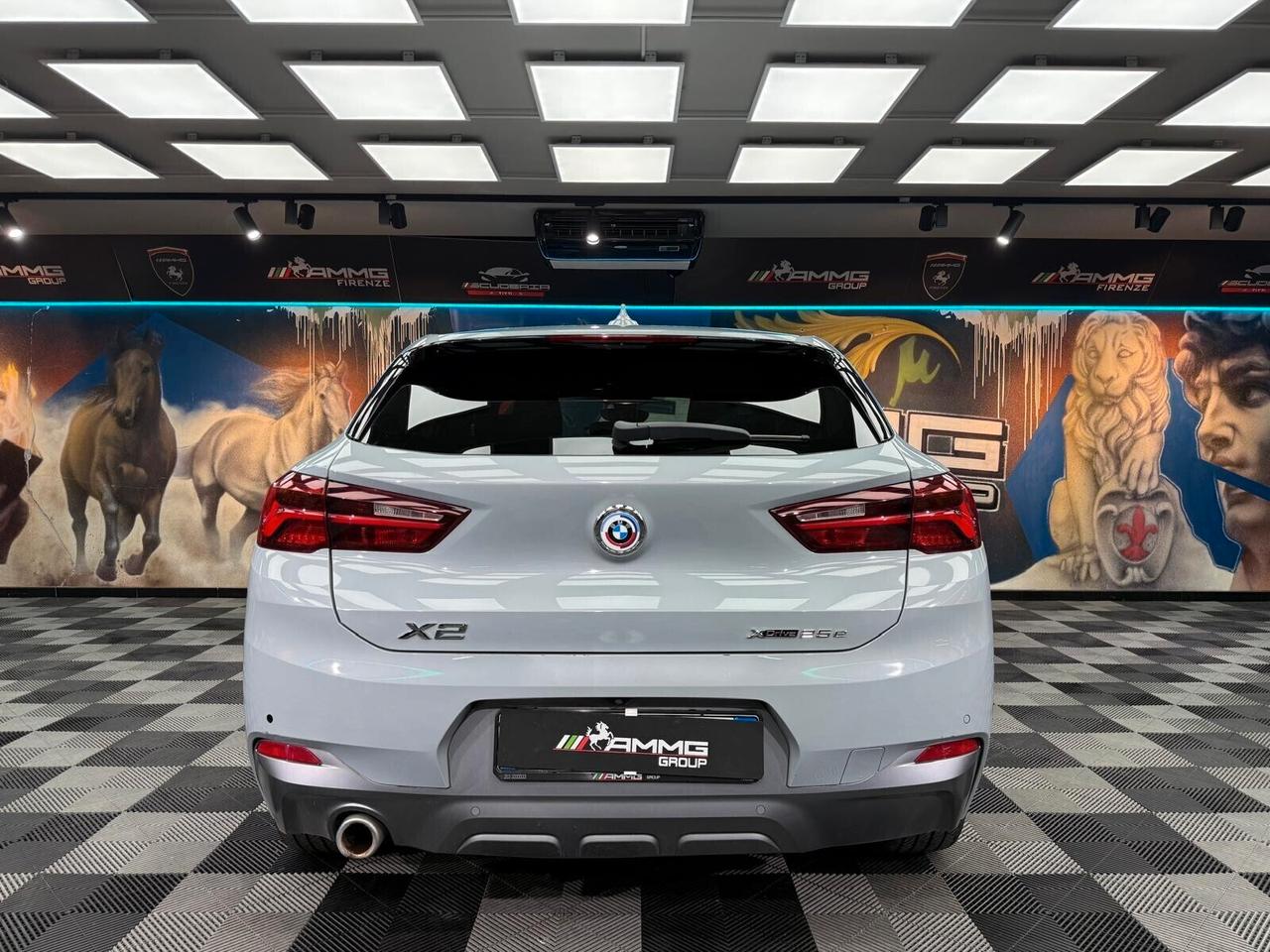 Bmw X2 xDrive25e Business-X (339)