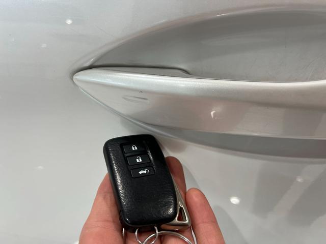 LEXUS NX 300h Hybrid 4WD F-Sport Full Opt.