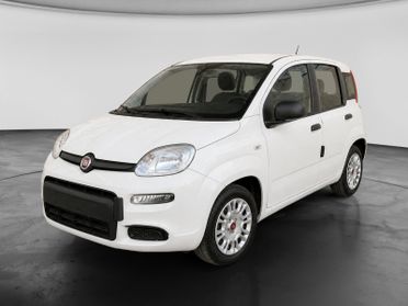 FIAT Panda III 2021 - Panda 1.0 firefly hybrid s&s 70cv 5p.ti