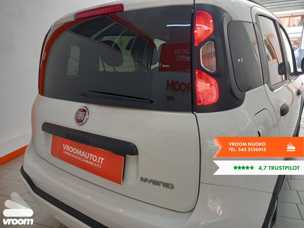 FIAT Panda 3ª serie Panda 1.0 FireFly S&S Hybrid