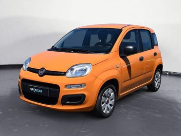 FIAT Panda Panda 1.2 Pop
