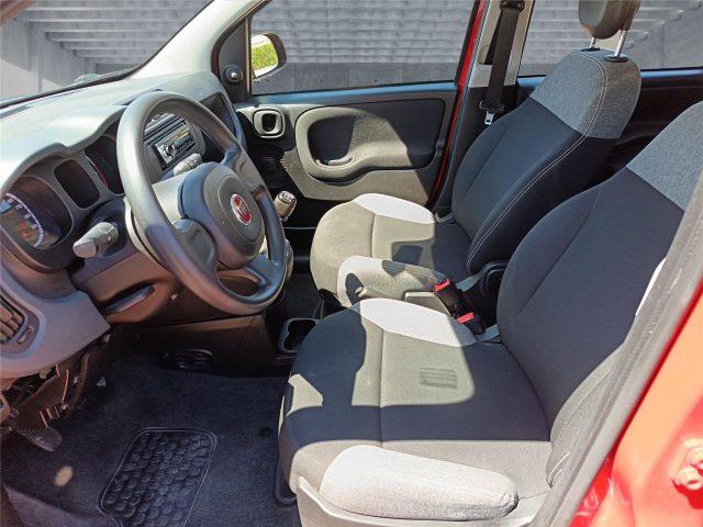 FIAT Panda 3ª serie 1.0 FireFly S&S Hybrid